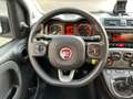 Fiat Panda Panda III 2021 1.0 firefly hybrid City Life s Bianco - thumbnail 6