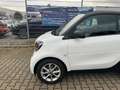 smart forTwo Fortwo coupe electric drive / EQ Schwarz - thumbnail 3