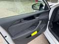 Volkswagen Passat Variant Sport eTSI DSG Weiß - thumbnail 15