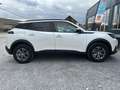 Peugeot 2008 2008 1.2 PureTech Style S Weiß - thumbnail 10