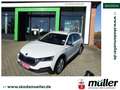 Skoda Octavia Combi Scout 4x4 2.0TDI 147kW AHK beh. FS Weiß - thumbnail 1