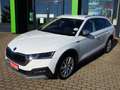 Skoda Octavia Combi Scout 4x4 2.0TDI 147kW AHK beh. FS Weiß - thumbnail 3
