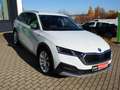 Skoda Octavia Combi Scout 4x4 2.0TDI 147kW AHK beh. FS Weiß - thumbnail 6