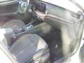 Skoda Octavia Combi Scout 4x4 2.0TDI 147kW AHK beh. FS Weiß - thumbnail 23