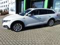 Skoda Octavia Combi Scout 4x4 2.0TDI 147kW AHK beh. FS Weiß - thumbnail 10