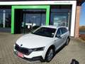 Skoda Octavia Combi Scout 4x4 2.0TDI 147kW AHK beh. FS Weiß - thumbnail 2