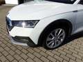 Skoda Octavia Combi Scout 4x4 2.0TDI 147kW AHK beh. FS Weiß - thumbnail 4