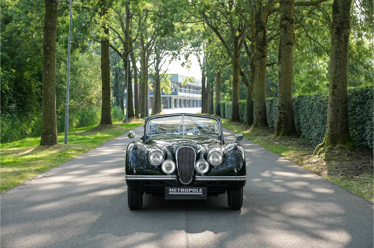 Jaguar XK 120 S0396 - M1242, foto 9