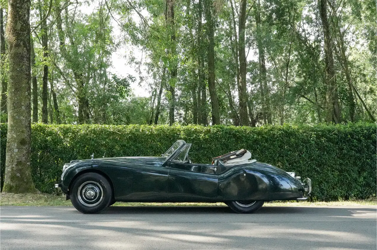 Jaguar XK 120 S0396 - M1242, foto 2