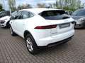 Jaguar E-Pace 2.0D I4 163 CV AWD Auto S - Pelle/Camera360 Blanco - thumbnail 3