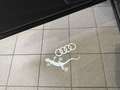 Audi Q5 40 TDI quattro S line *Audi Exclusive* Gris - thumbnail 25