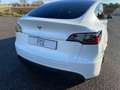 Tesla Model Y MODEL Y Basis/Rwd 1er Main endommagée Weiß - thumbnail 37