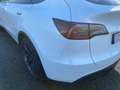 Tesla Model Y MODEL Y Basis/Rwd 1er Main endommagée Weiß - thumbnail 32