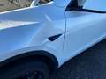 Tesla Model Y MODEL Y Basis/Rwd 1er Main endommagée Weiß - thumbnail 10