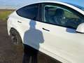 Tesla Model Y MODEL Y Basis/Rwd 1er Main endommagée Weiß - thumbnail 48