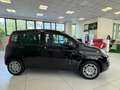Fiat Panda Nuova Panda Hybrid 1.0 70cv Con Rottamazione Zwart - thumbnail 5