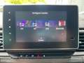 Renault Trafic Grand SpaceClass Blue dCi 170 EDC Aut. MwSt. au... Schwarz - thumbnail 20