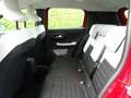 Citroen C3 Hybr. 110 PLUS mit Winterpaket! Leasingangebot! Rot - thumbnail 10