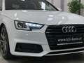 Audi A4 40TDI __AVANT__QUATTRO__S LINE__19" Weiß - thumbnail 24