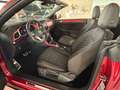 Volkswagen T-Roc Cabriolet R-Line*AHK*STANDHEIZ*LEDER*WINDS Rot - thumbnail 15