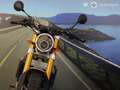 Fantic Caballero 500 SCRAMBLER DELUXE - 2023 - km 5372 Nero - thumbnail 9