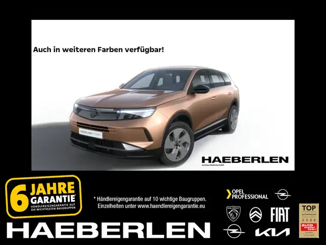 Opel Grandland Electric Edition PDC*SHZ*LHZ*LED
