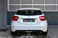 Mercedes-Benz A 160 A-Klasse A 160 Pickerl NEU Weiß - thumbnail 4