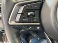 Subaru OUTBACK Platinum Navi Kameras Leder Silber - thumbnail 19