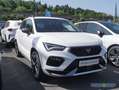 CUPRA Ateca 2.0 TSI DSG R-Kamera/PDC+/Allrad Weiß - thumbnail 2