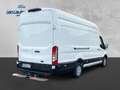 Ford Transit Kasten 350 L4 Trend Blanc - thumbnail 5
