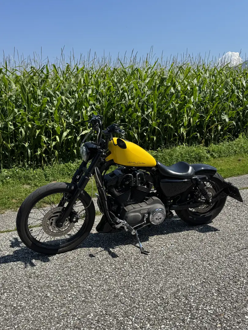 Harley-Davidson Sportster 1200 Nightster Gelb - 2