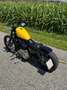 Harley-Davidson Sportster 1200 Nightster Gelb - thumbnail 9