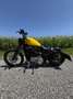 Harley-Davidson Sportster 1200 Nightster Gelb - thumbnail 10