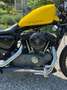 Harley-Davidson Sportster 1200 Nightster Gelb - thumbnail 18