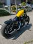 Harley-Davidson Sportster 1200 Nightster Gelb - thumbnail 6