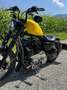 Harley-Davidson Sportster 1200 Nightster Gelb - thumbnail 16