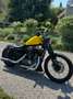 Harley-Davidson Sportster 1200 Nightster Gelb - thumbnail 3