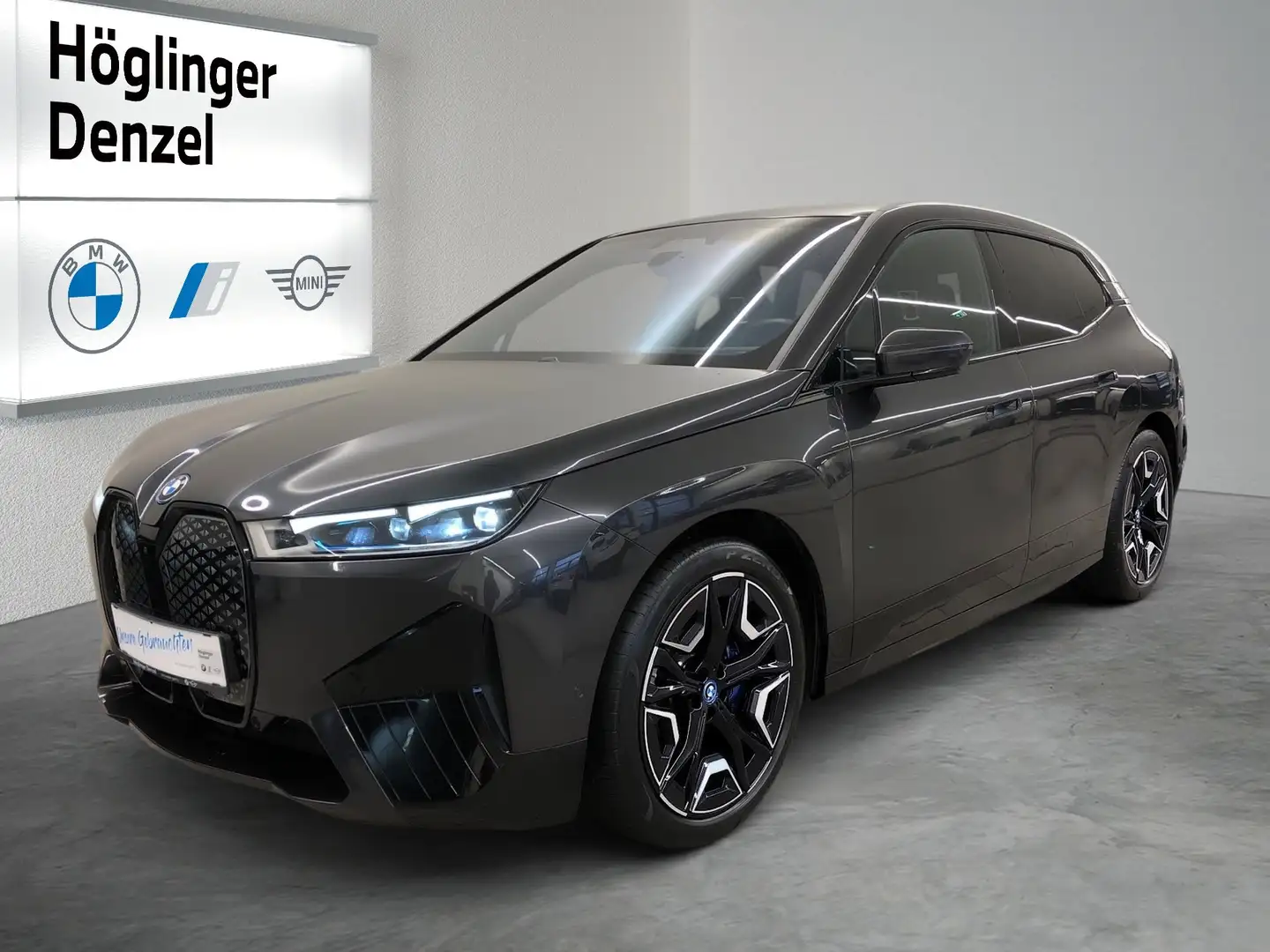 BMW iX iX xDrive40 Gris - 2