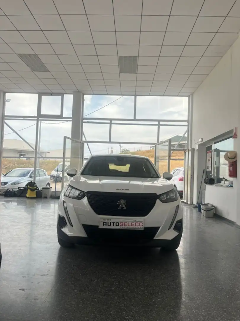 Peugeot 2008 1.5BlueHDi S&S Active Pack 110 Blanco - 2