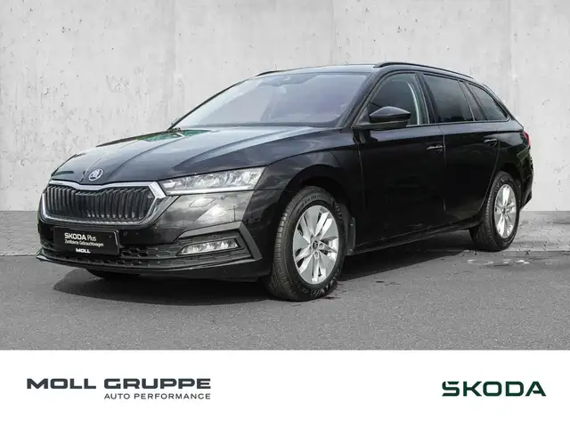 2023 Skoda Octavia in Black for sale