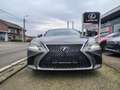 Lexus LS 500 President Line Grau - thumbnail 2