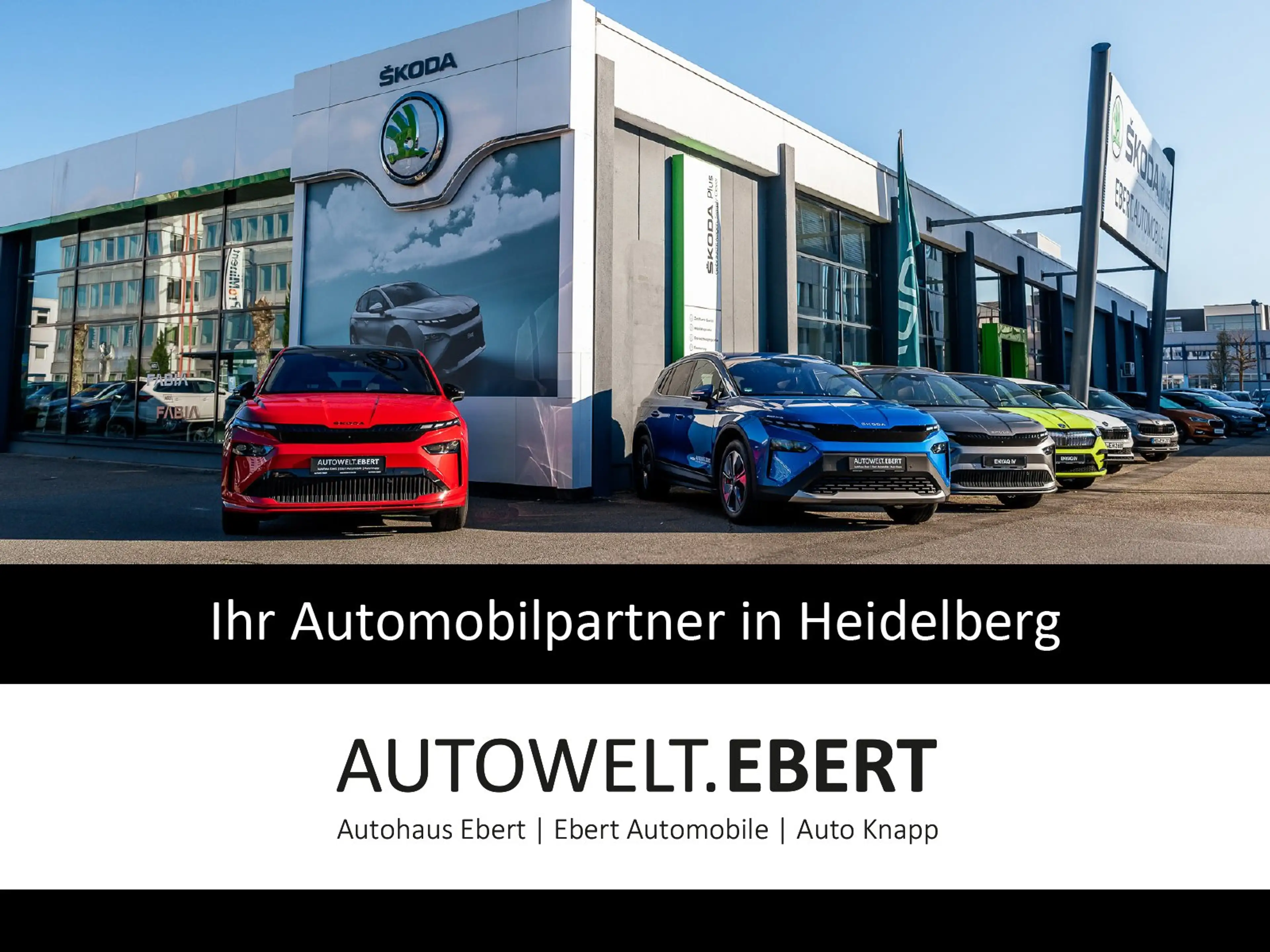 Skoda Superb 2.0 TDI 4x4 Selection/AHK/DCC+/CANTON/ACC — photo 9