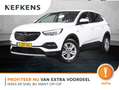Opel Grandland X 1.2 130PK Turbo Business Executive | 1ste eigenaar Weiß - thumbnail 1