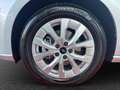 Ford Tourneo Connect Titanium L1 1.5 EcoBoost PHEV 110 KW Auto Kompaktv Срібний - thumbnail 6