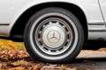 Mercedes-Benz SL 280 SL Pagode 2.8 liter zes-in-lijn W113 Blanc - thumbnail 27