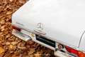 Mercedes-Benz SL 280 SL Pagode 2.8 liter zes-in-lijn W113 Blanc - thumbnail 38