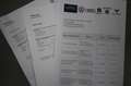 Volkswagen Golf Variant 2.0 TDI SCR Life 115 CV Gris - thumbnail 9