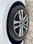 Audi A6 40 2,0 TDI Sport S-tronic S-Line Sport Plus Weiß - thumbnail 5