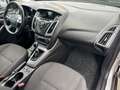 Ford Focus 1.6D Champions Edition *Finanzierung** Grau - thumbnail 11