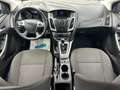 Ford Focus 1.6D Champions Edition *Finanzierung** Grau - thumbnail 10